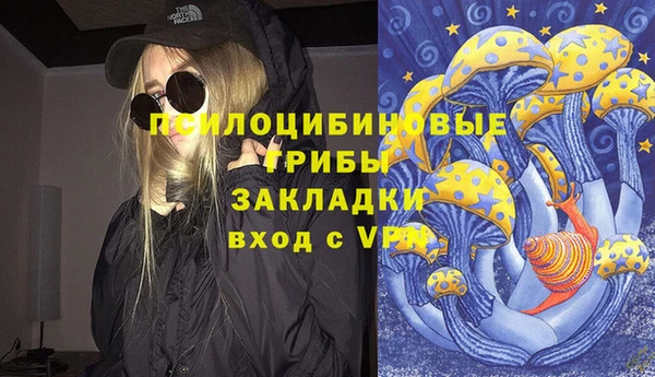 а пвп мука Верхний Тагил